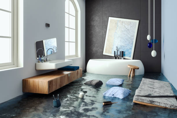 Best Mold removal after water damage  in Issaquah, WA