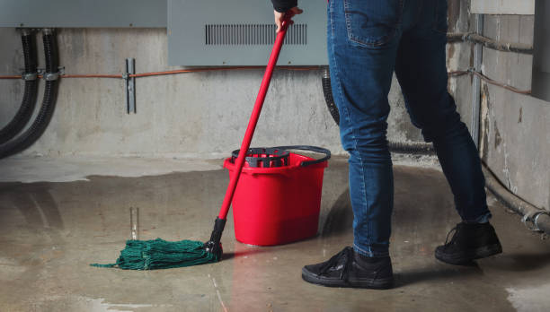 Best Flood restoration services  in Issaquah, WA