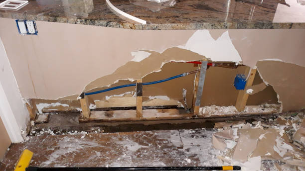 Best Basement water damage restoration  in Issaquah, WA