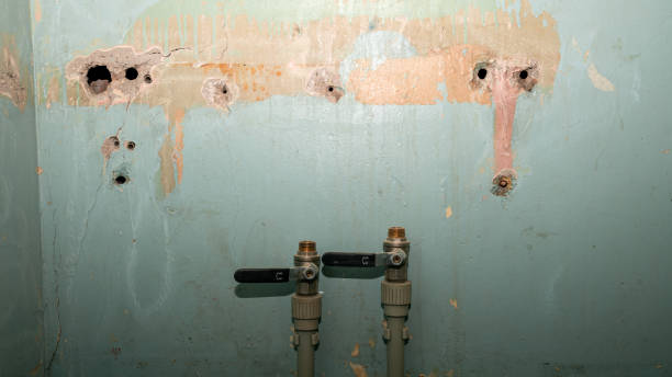 Best Water damage restoration near me  in Issaquah, WA