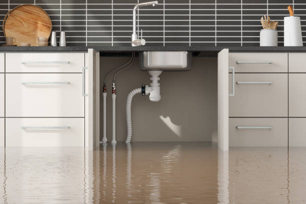 Best Carpet water damage restoration  in Issaquah, WA