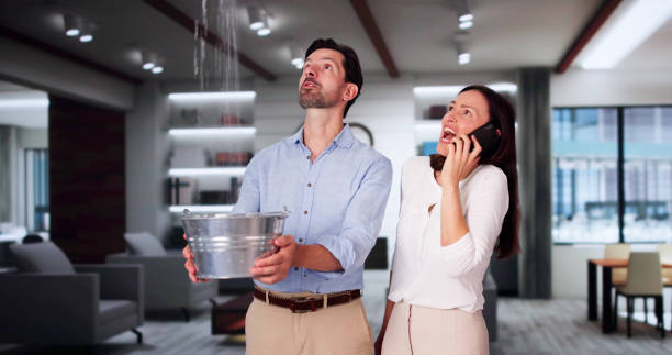  Issaquah, WA Water damage restoration Pros