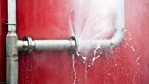 Best Flooded house restoration  in Issaquah, WA